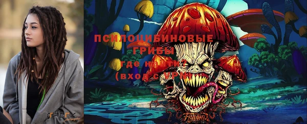 гидропоника Абдулино