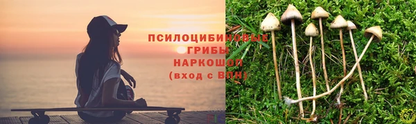 амфетамин Алексеевка