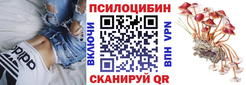 Псилоцибиновые грибы Cubensis  Плавск 